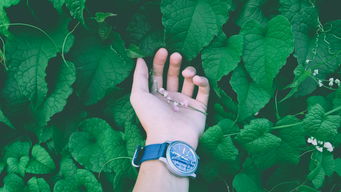 创意无限，一年级手抄报的简单漂亮生活篇