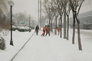 小宁的都市生活，在繁华都市中寻找自我