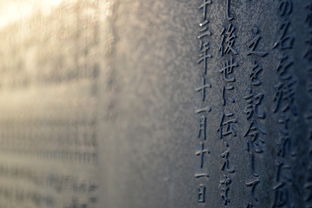 日常生活中的词语解释，理解与应用
