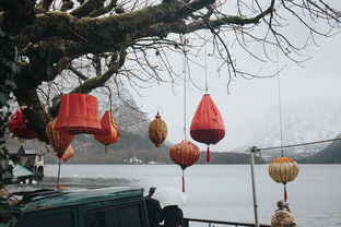 品味生活，细嗅时光的芬芳